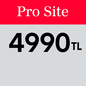 Pro Site